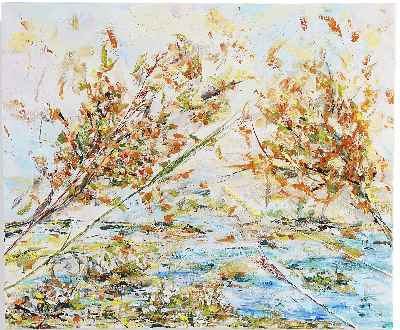Rive du lac